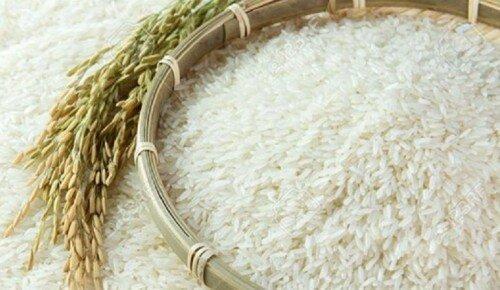 شرایط غلظت آفلاتوکسین موجود در برنج ایرانی