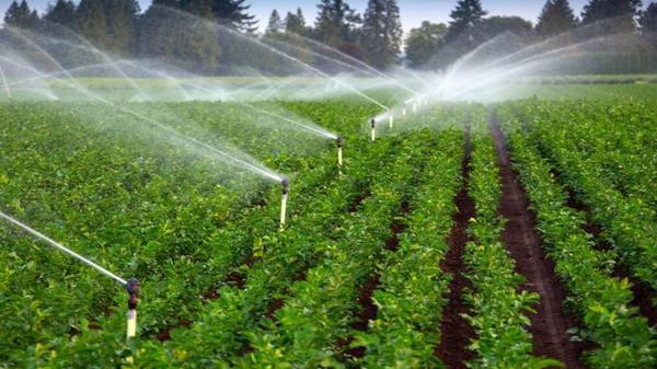 تجهیز زمین های کشاورزی به سیستم های نوین آبیاری تجهیز زمین های کشاورزی به سیستم های نوین آبیاری