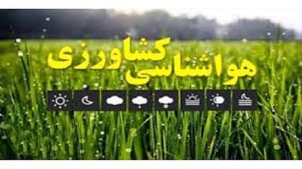 هشدار بارش باران و وزش باد به کشاورزان و زنبورداران